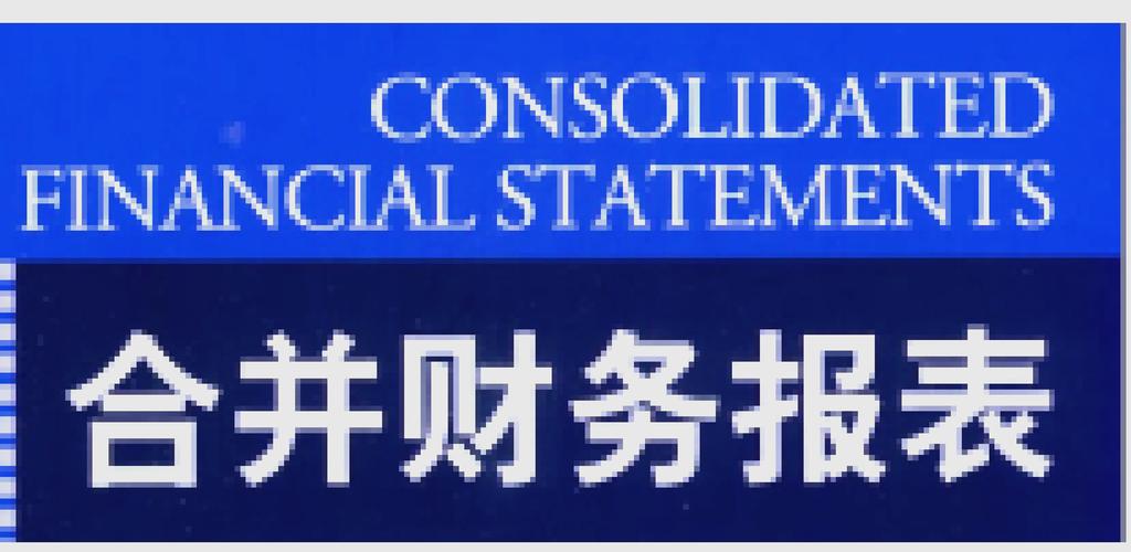 合并报表永久免费版截图