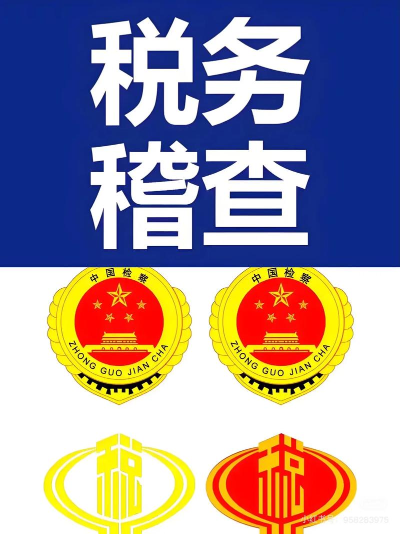 税务稽查取证规范光环加速版截图
