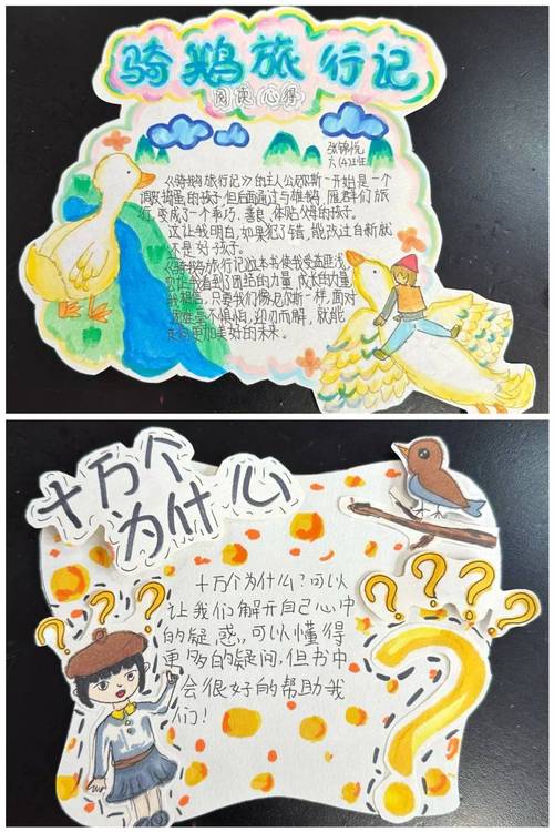 六年级精美读书卡光环加速版截图