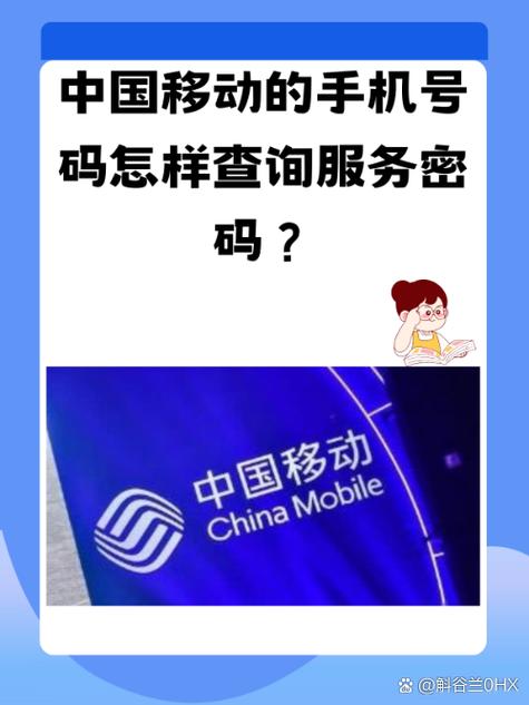 中国移动加速器3元和10元的区别专业版截图