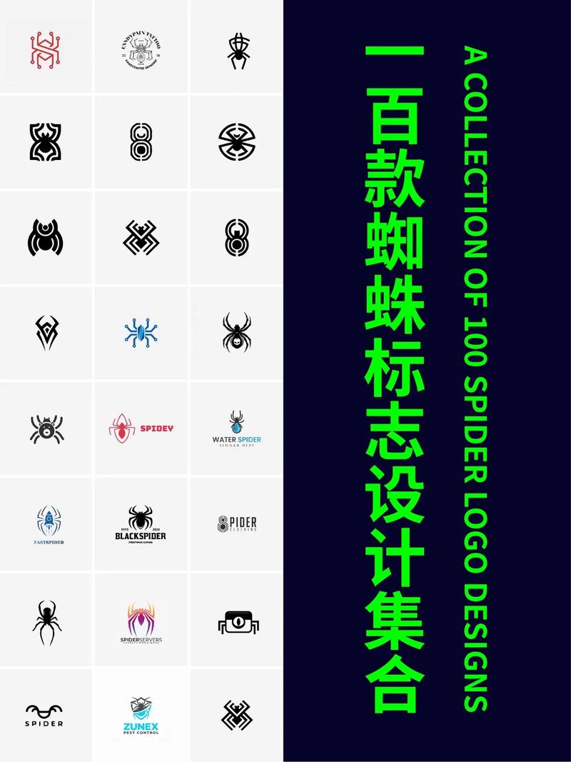 蜘蛛加速框架截图