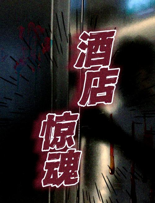 酒店惊魂8详细图文攻略第五天黑色老版截图