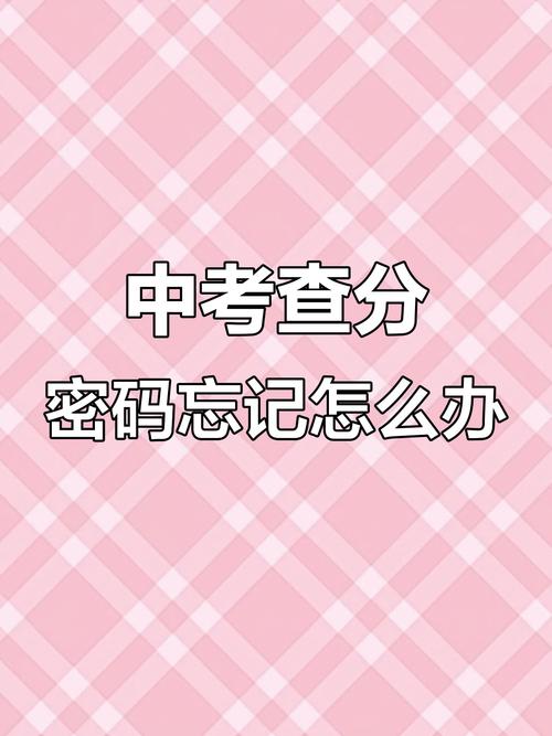 中考成绩忘了怎么查加速永久截图