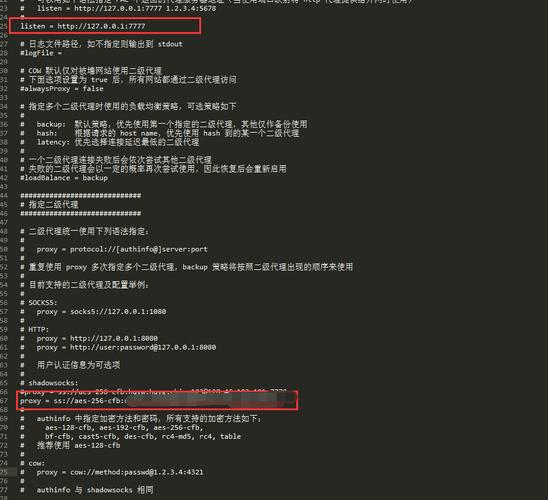 Shadowsocks客户端截图