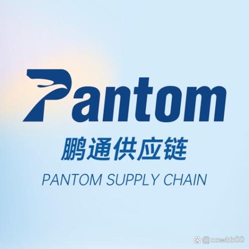 海鸽加速器截图