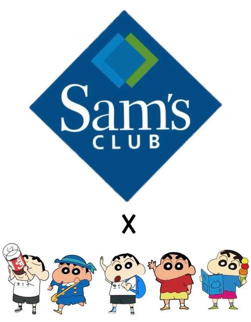 蜡笔小新长大截图