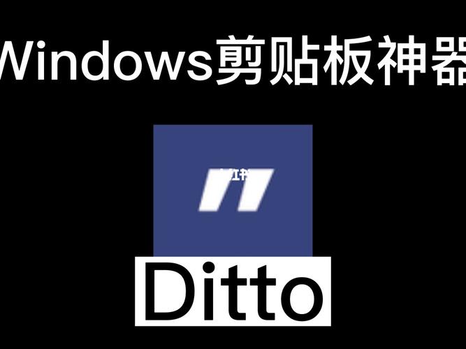 ditto软件去广告版截图