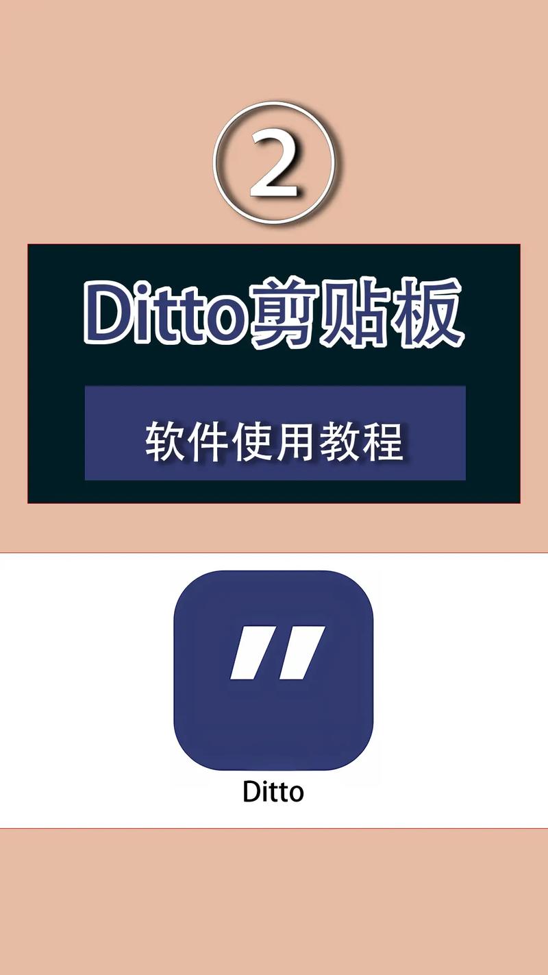 ditto怎么用加速永久截图