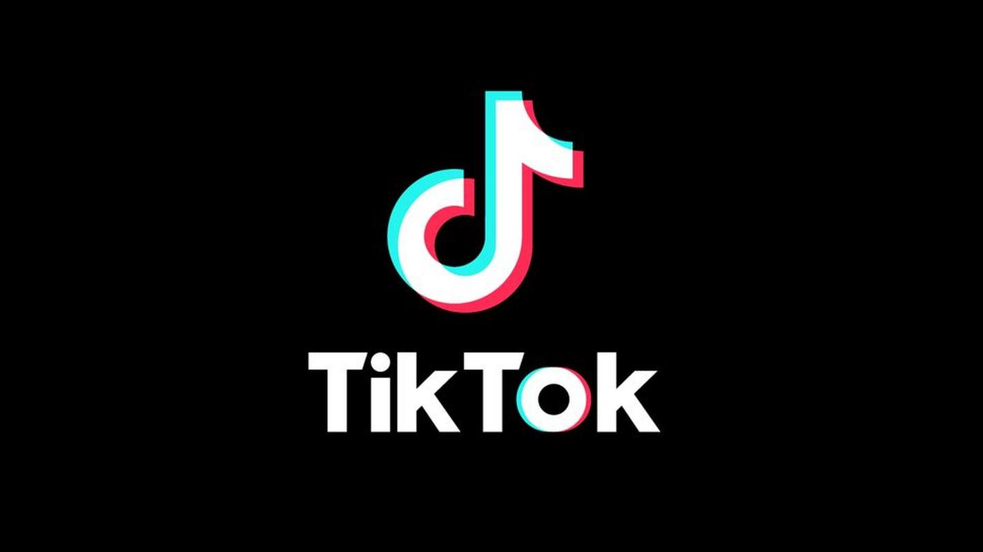 国外版抖音tiktok电子版图标