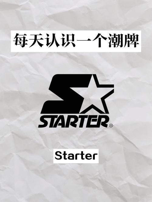 starter教程截图