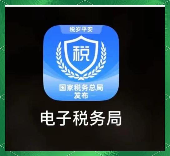 辽宁省电子税务局客户端官网光环加速版截图