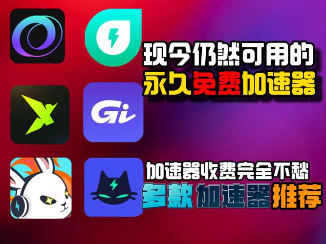 推特加速器无限免费推荐紫色版截图