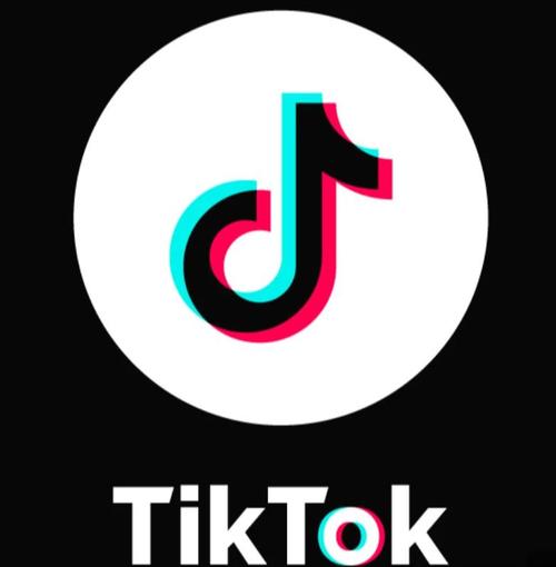 tiktok成年人版脸部特效安卓游戏截图