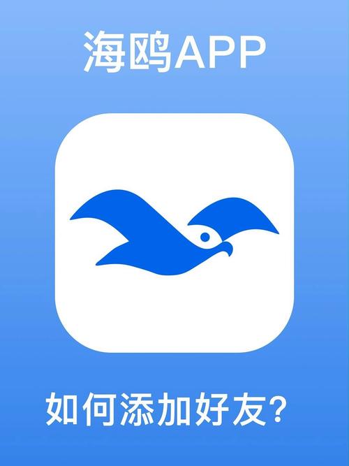 海鸥加速器官方版APP无广告纯净版无限能量蓝色版无广告免费截图