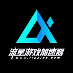 流星云加速器官网安卓版截图