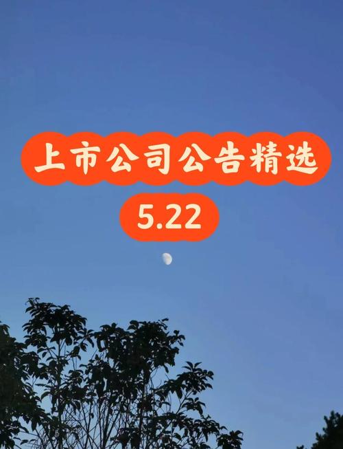 查上市公司公告去哪个网约会版截图