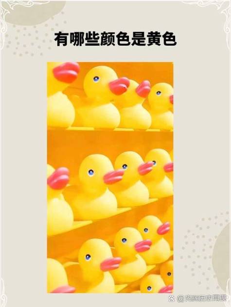 快鸭加速器免费的橙色版截图