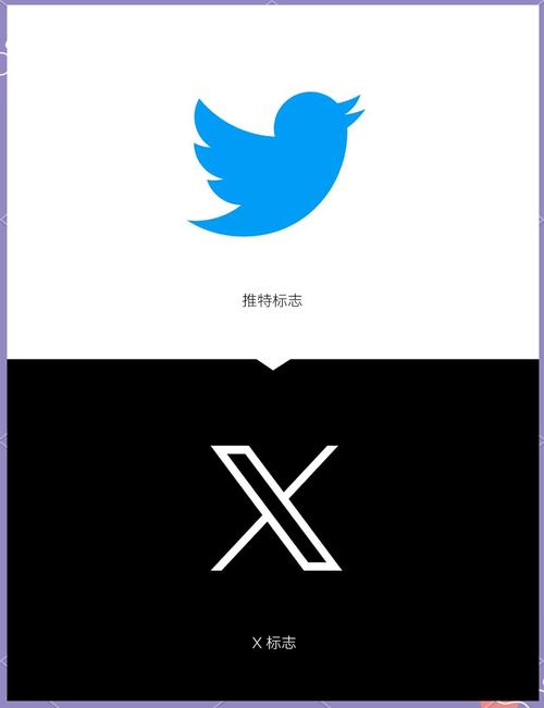 x推特加速器用哪个截图