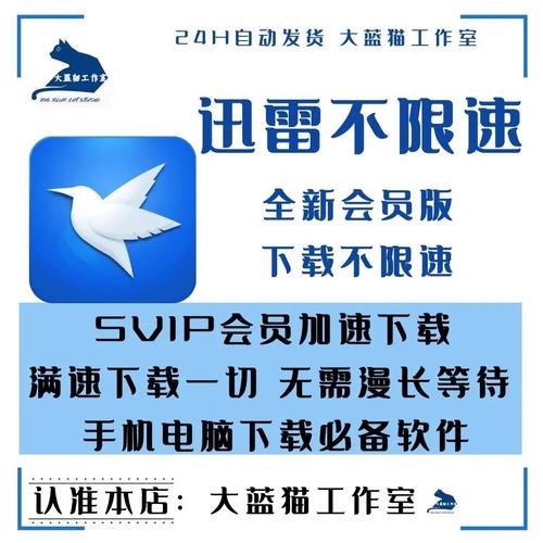 迅雷破解版不限速安卓版下载