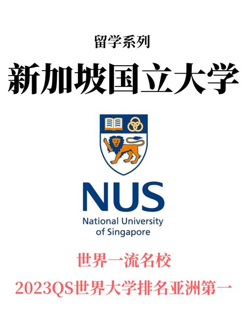 新加坡国立大学入学条件加速永久截图