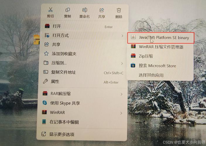 电脑下载成功但是安装不了截图