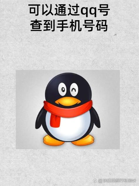qq抓包查ip工具手机版截图