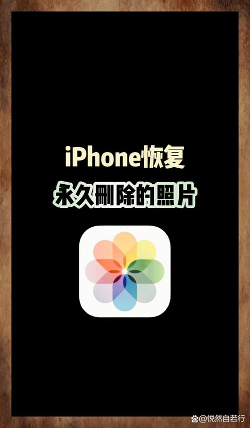 免费恢复永久删除照片的软件无广告正版截图