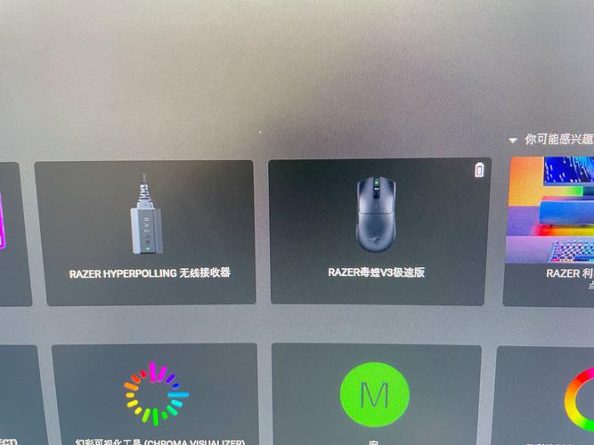 毒蛇nvp加速器轻量版游戏截图