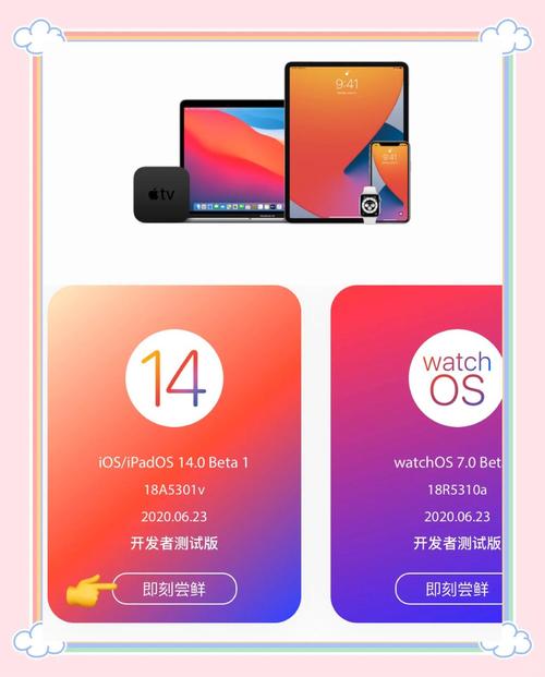 尝鲜版怎么更新正式版截图