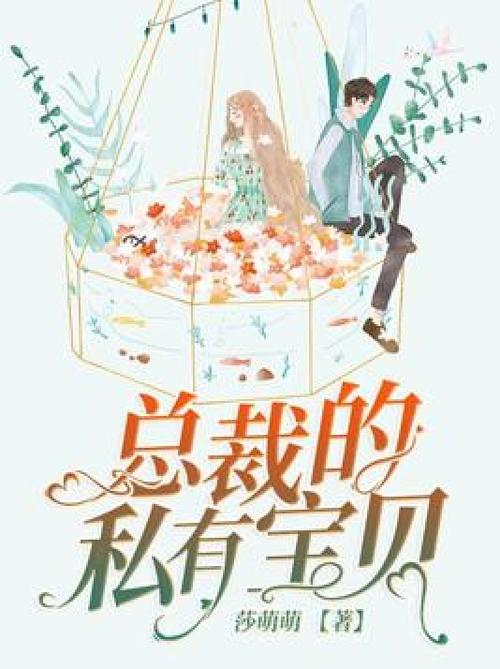 小说总裁的私有宝贝全文免费阅读光环加速版截图