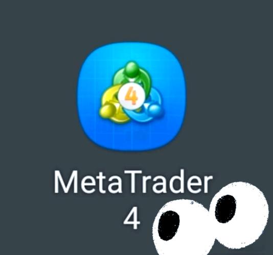 苹果mt4下载安装纯净版截图