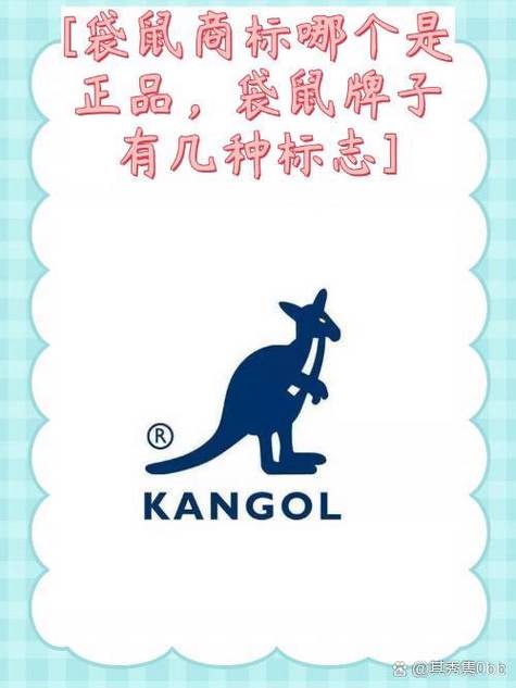 袋鼠加速器手机版图标