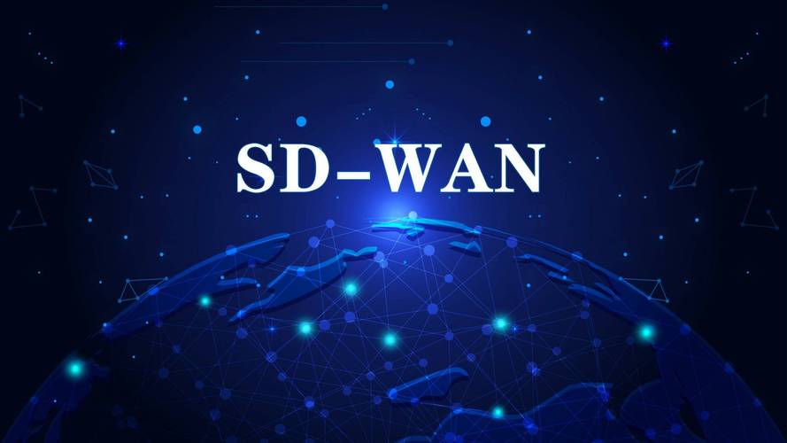sdwan设备截图