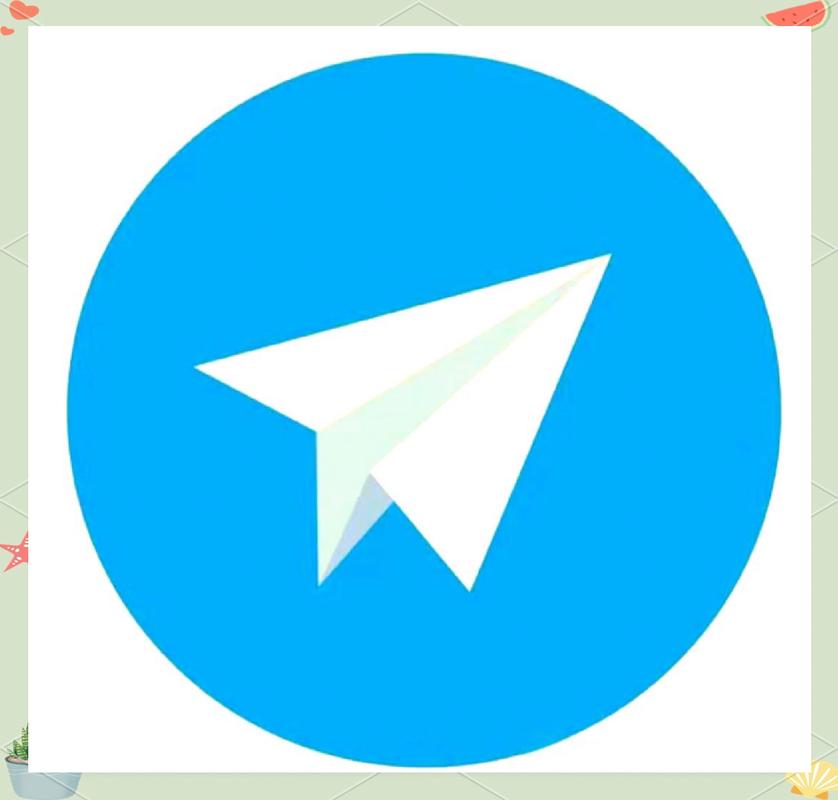 纸飞机ssr加速器官网老版本截图