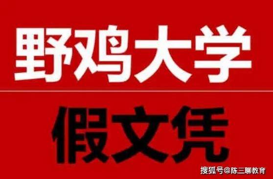 野鸡台湾版截图