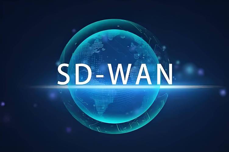 sdwan技术原理截图