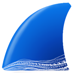 wireshark中文破解版截图