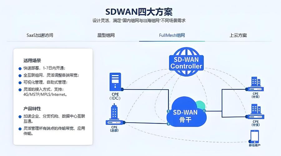 sdwan组网实例修改版无广告截图