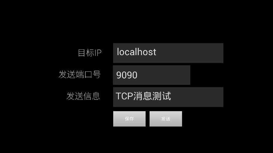 TCP测试工具安卓版截图
