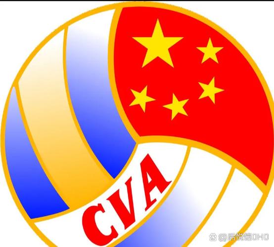 女排联赛录像回放测试新版免付费版截图