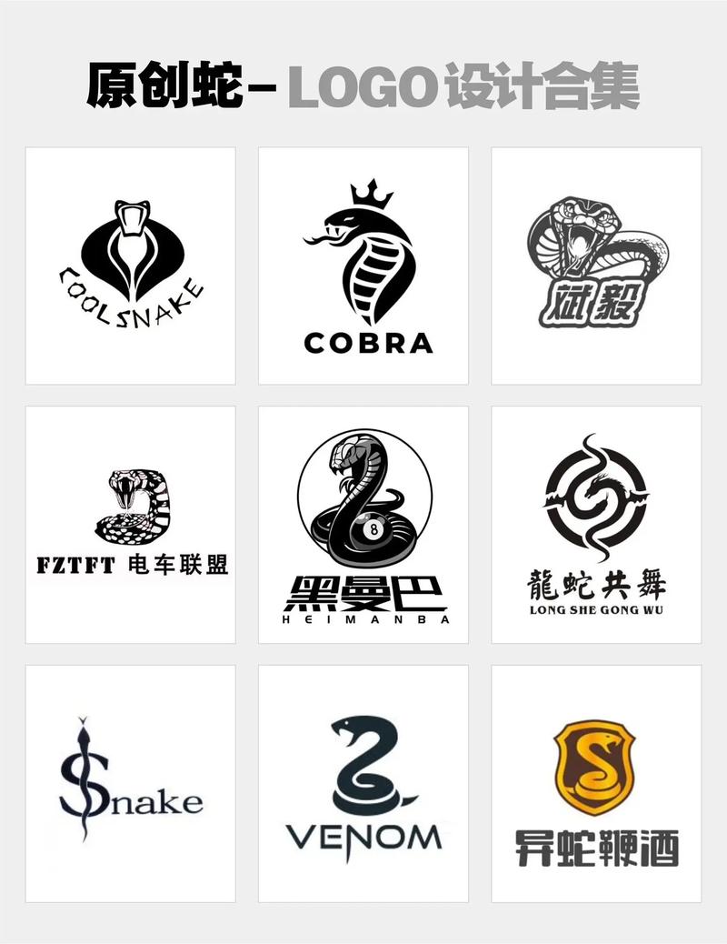 毒蛇加速器最新版本截图