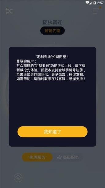 坚果vp加速器v5.0.1截图
