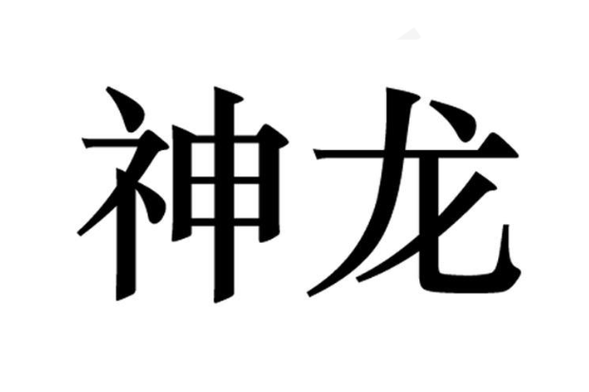 神龙加速2023截图