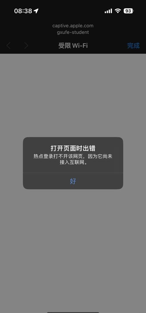 手机运行ping测试去限制版截图