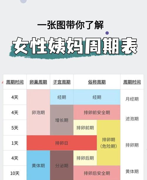 女性月经周期表图片正版截图