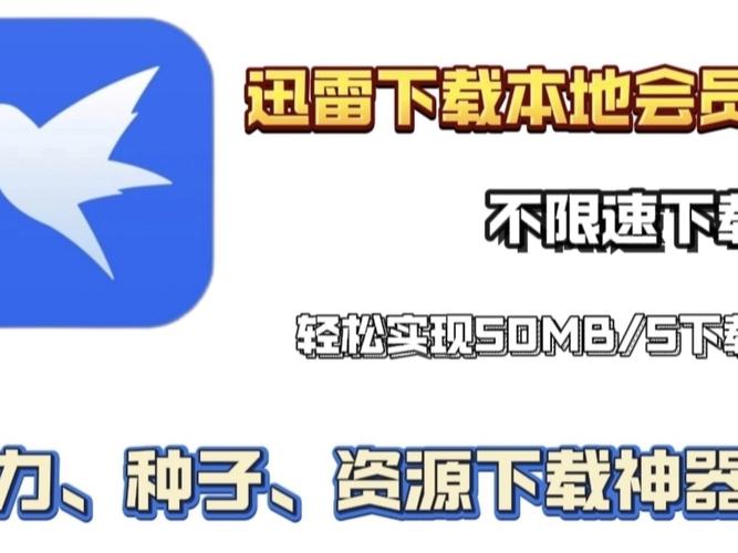 手机迅雷破解版永久会员image20250402bucbzo1743578561jpg截图