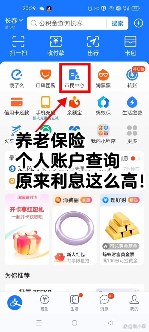 养老保险个人帐户余额查询软件永久免费版截图