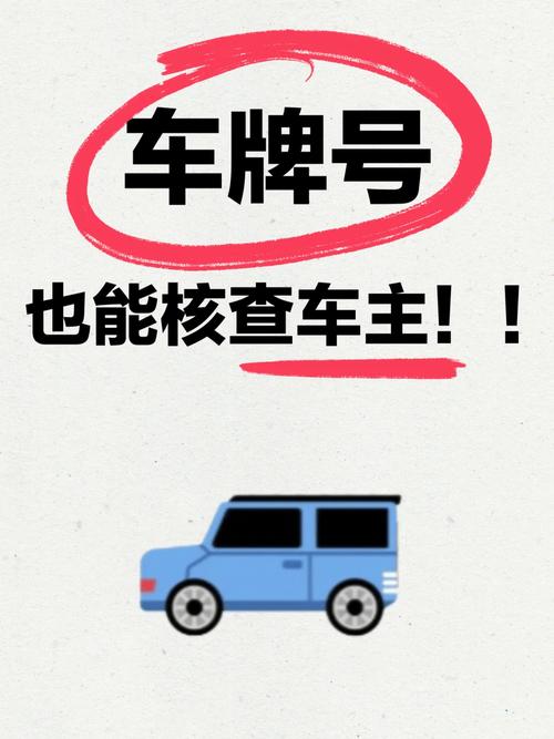 输入车牌号查车主光环加速版截图