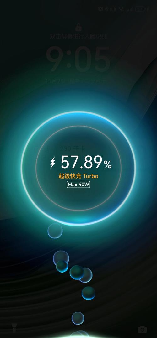 手机快速充电软件免费下载纪念版截图