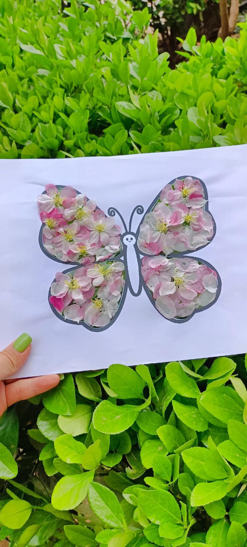 花瓣粘贴画加速永久截图